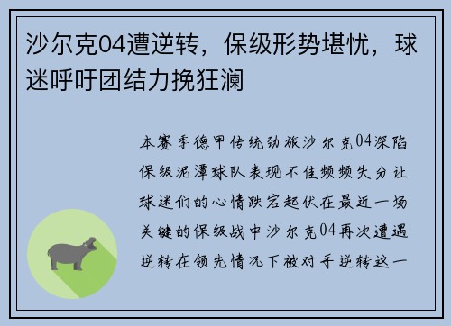 沙尔克04遭逆转，保级形势堪忧，球迷呼吁团结力挽狂澜