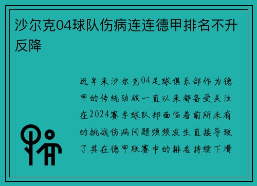 沙尔克04球队伤病连连德甲排名不升反降
