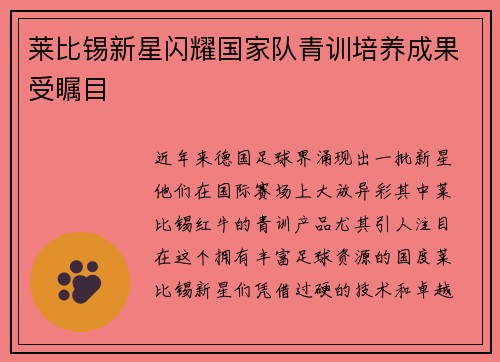 莱比锡新星闪耀国家队青训培养成果受瞩目
