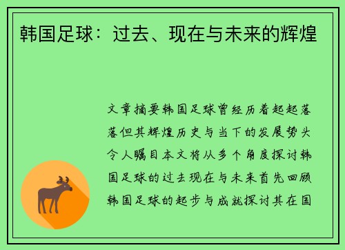 韩国足球：过去、现在与未来的辉煌